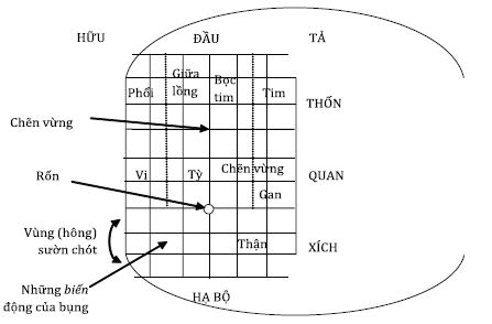 Chẩn Đoán Học Y Đạo