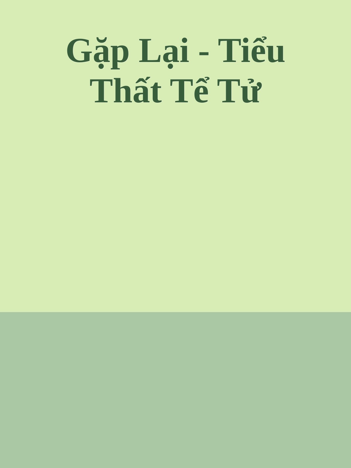 Gặp Lại - Tiểu Thất Tể Tử