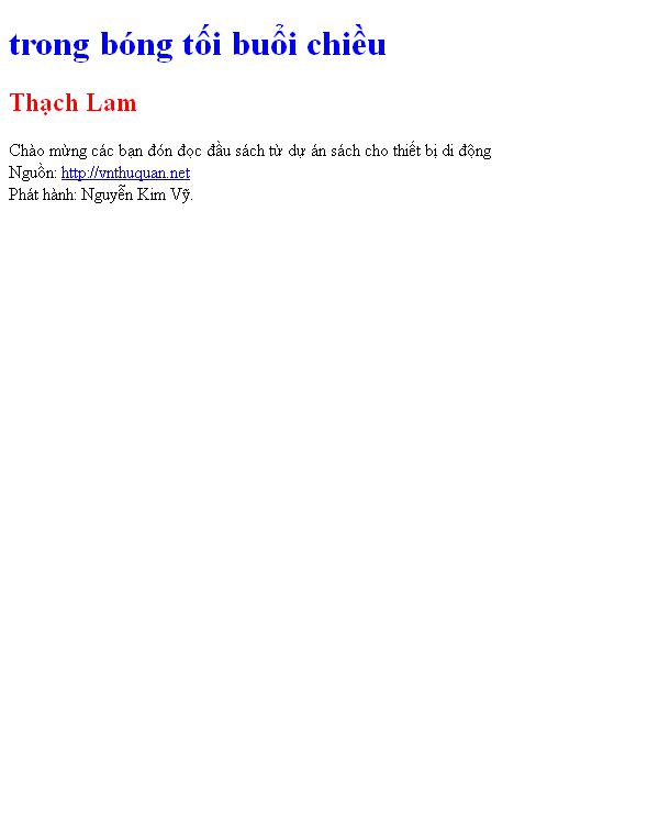 trong bóng tối buổi chiều