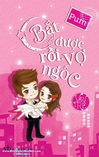 Bắt Được Rồi, Vợ Ngốc