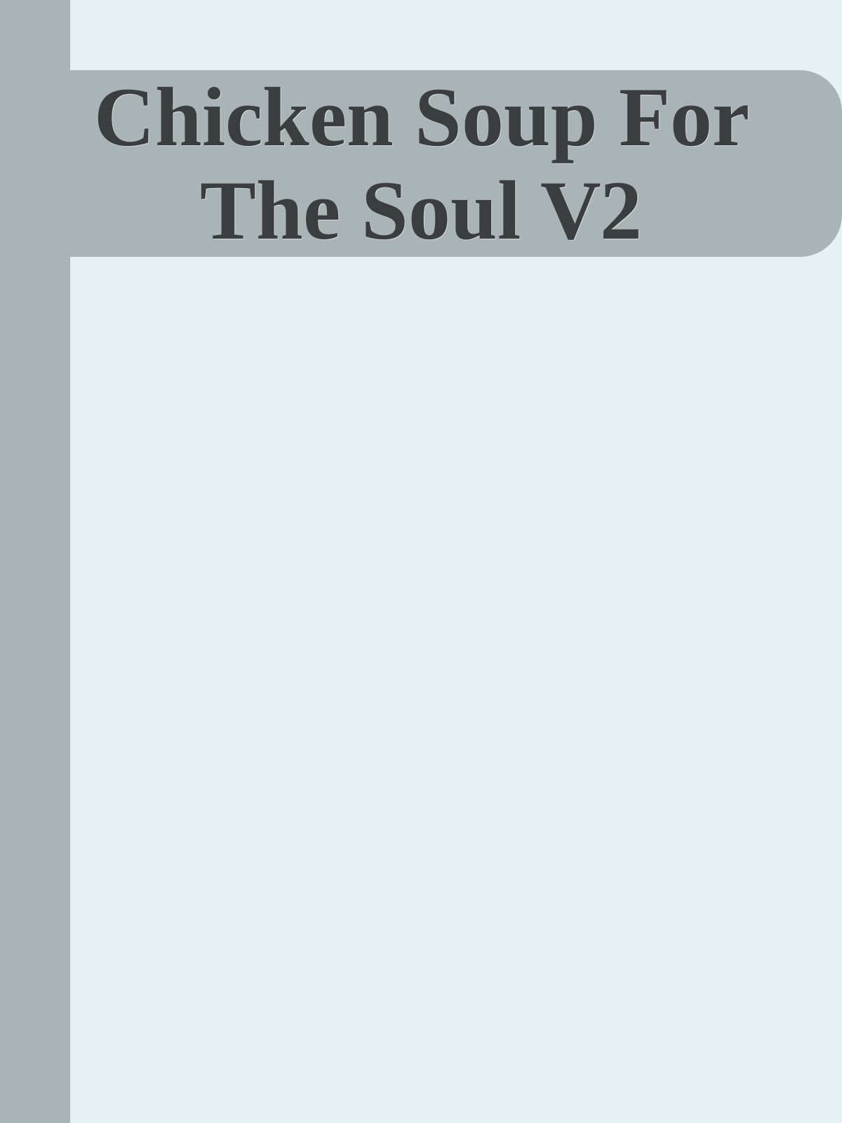 Chicken Soup For The Soul V2
