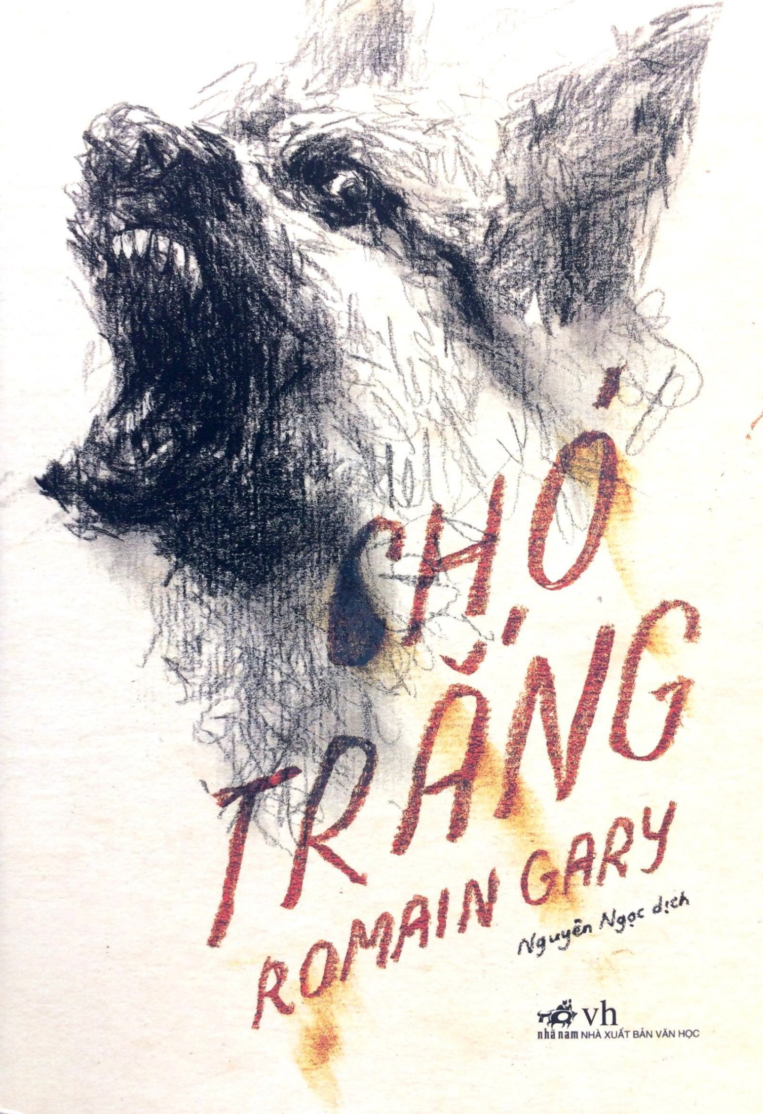Chó Trắng