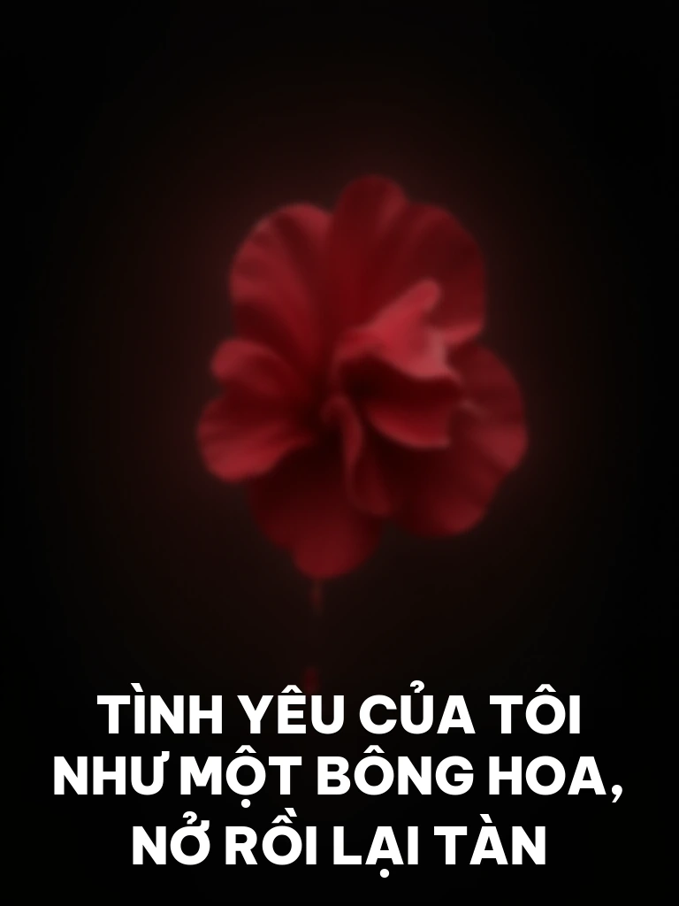 Tình Yêu Của Tôi Như Một Bông Hoa, Nở Rồi Lại Tàn