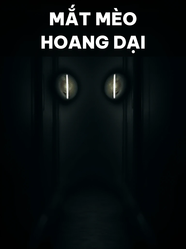 Mắt Mèo Hoang Dại